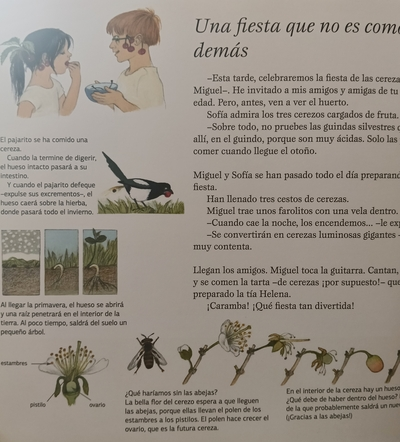 album ilustrado de Gerda Muller