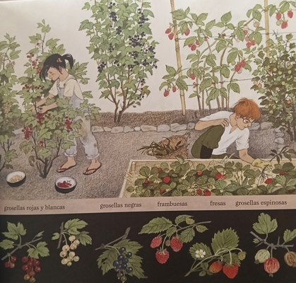 Frutos y frutas de Gerda Muller álbum ilustrado