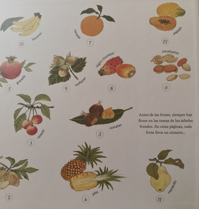 Frutos y frutas de Gerda Muller comprar en Erase un cuento