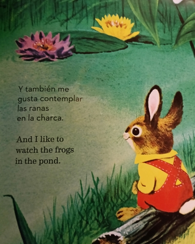 Soy un conejo cuento clásico de Ole Risom y Richard Scarry